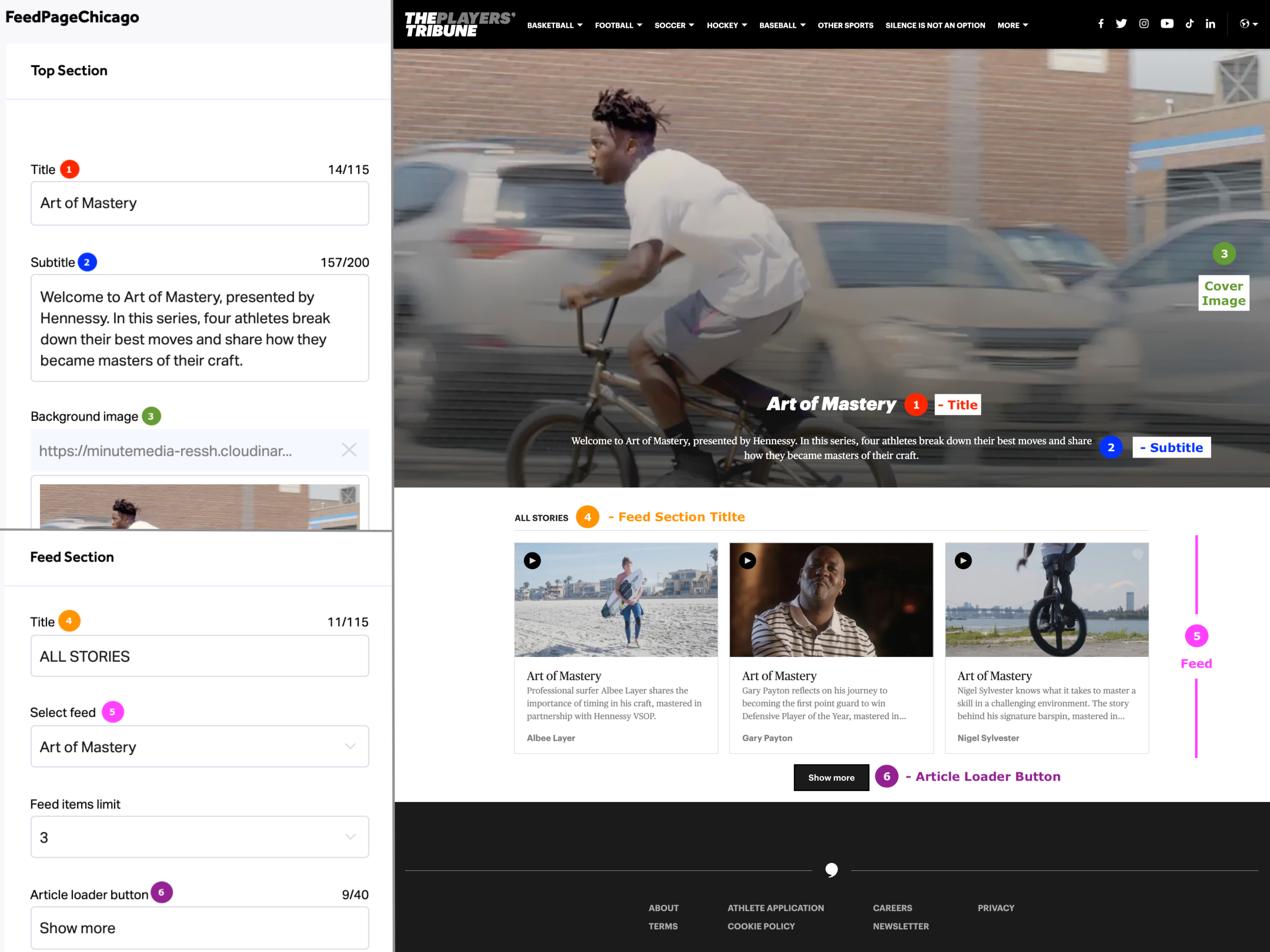 Feedpage_Chicago_Collage.jpg